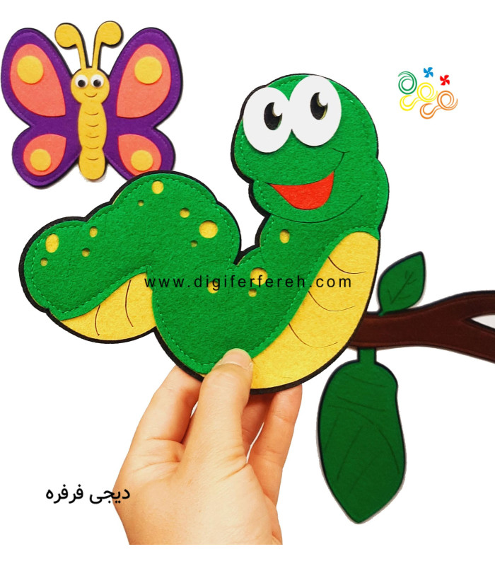 چرخه رشد پروانه