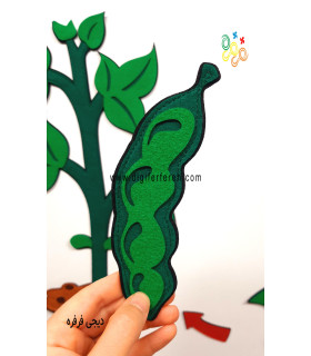 چرخه رشد گیاه