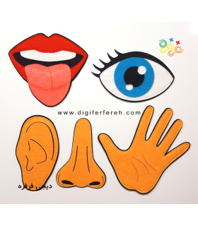 حواس پنج گانه