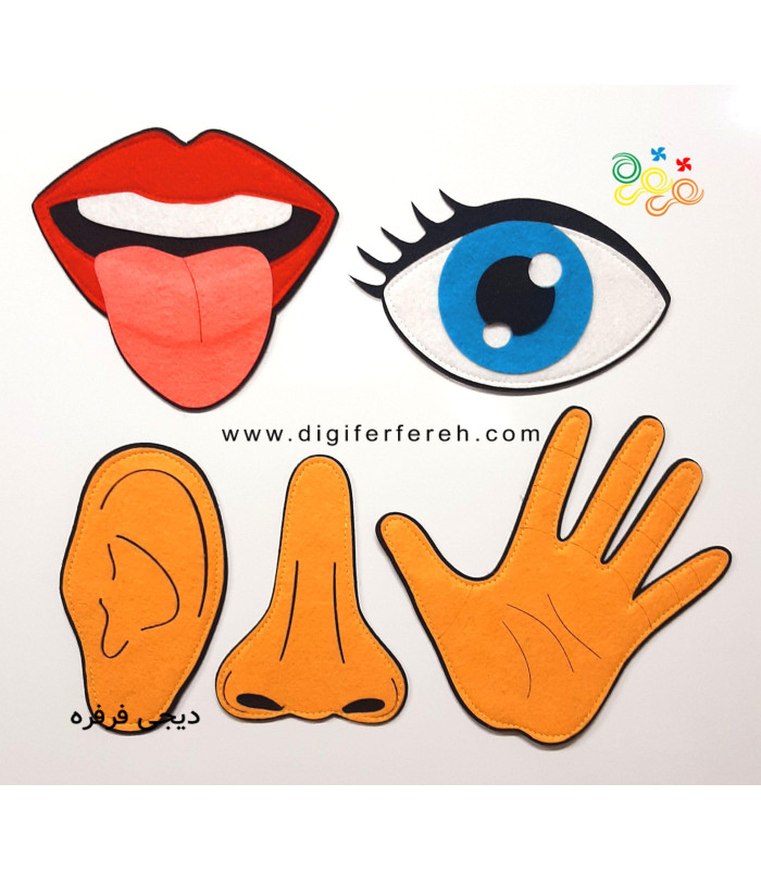 حواس پنج گانه