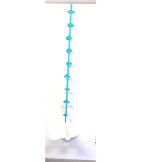 ریسه ابر 17 سانتی
