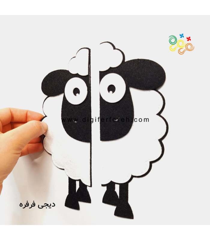 تقارن گوسفند