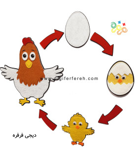 چرخه رشدجوجه