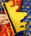 تاج جشن الفبا دبستان علوی
