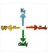 چهار جهت اصلی مگنتی